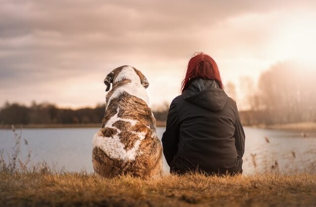 Researching Dog-Friendly Restaurants in Your Location